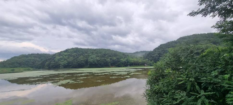 망설임 그리고 결정 (조황조행기 - 화보조행기)