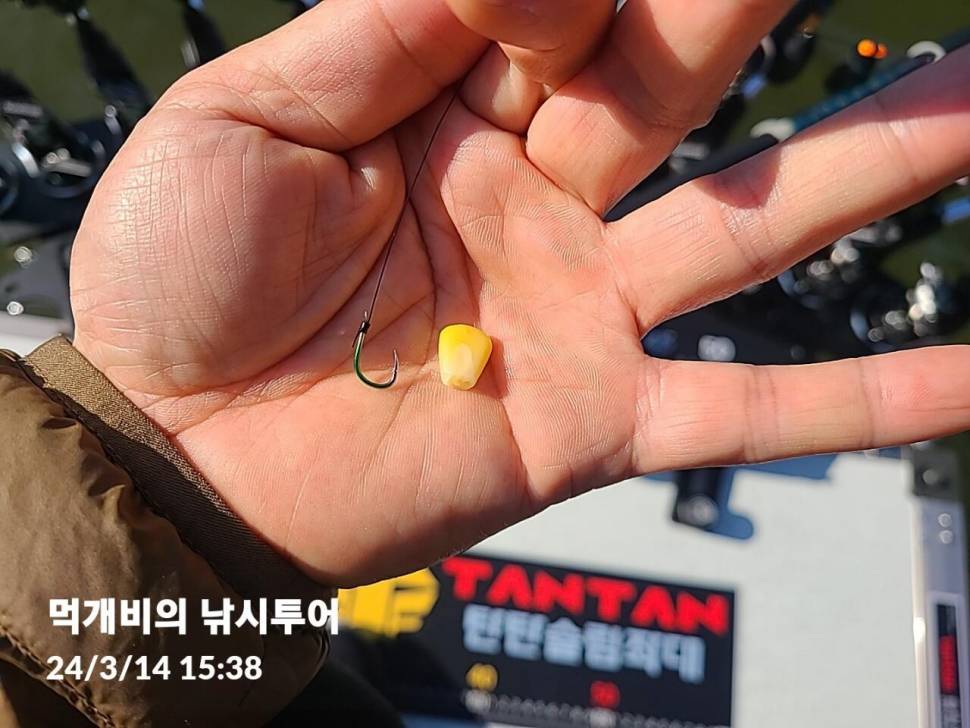 먹개비의 낚시 투어 242탄 올해 첫 월척 상면 (조황조행기 - 화보조행기)