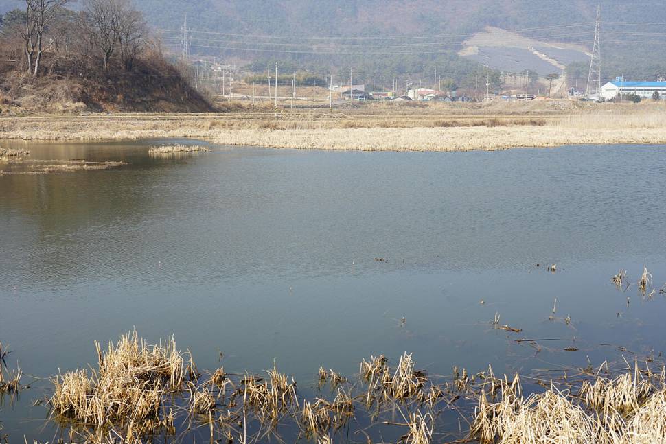 워밍업 (조황조행기 - 화보조행기)