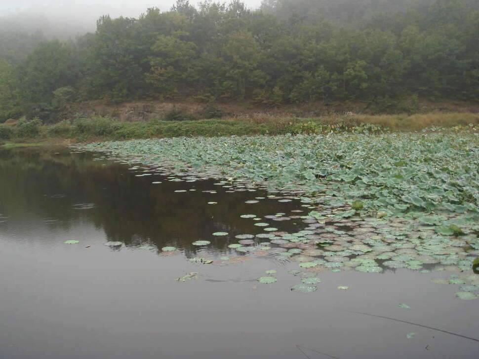 지난시간낚시는 쑈 다 (조황조행기 - 화보조행기)