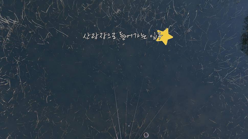 4월 의암호 산란장대물붕어 (조황조행기 - 화보조행기)