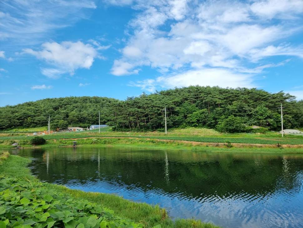 어려운시기 지나면 (조황조행기 - 화보조행기)