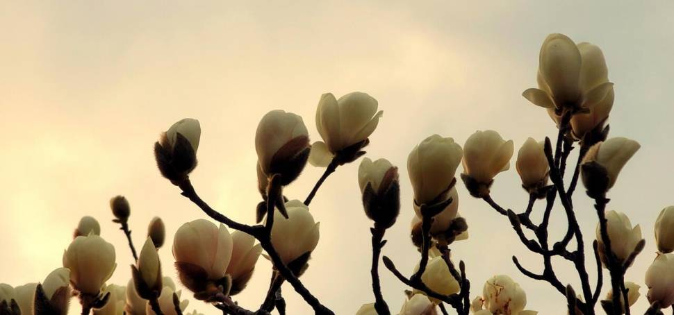 찔레꽃 블루베리의 무한 낚시사랑 (조황조행기 - 화보조행기)
