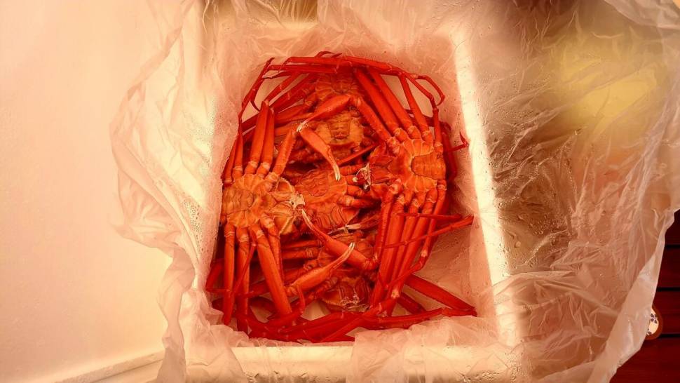주말힐링 (조황조행기 - 화보조행기)