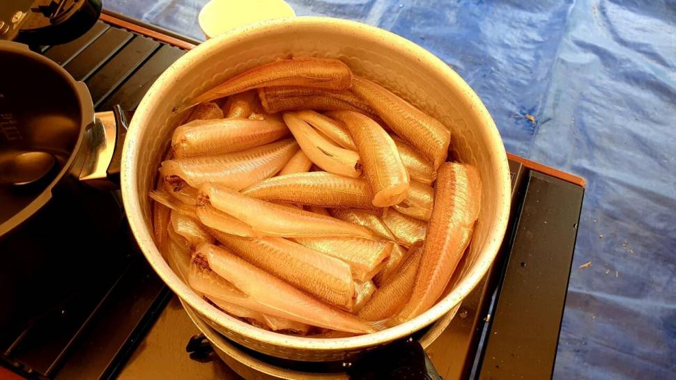 주말힐링 (조황조행기 - 화보조행기)