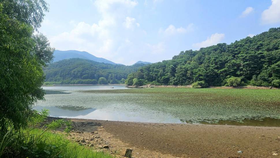 2024년 어신魚神 조우회의 08월 정출 더위사냥 (조황조행기 - 화보조행기)