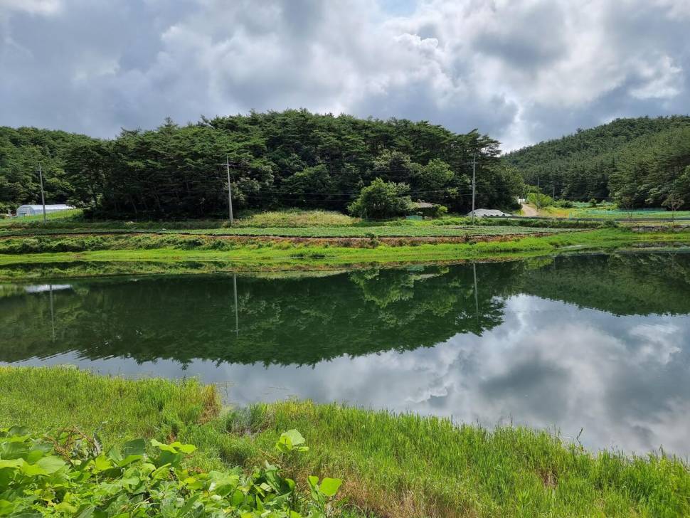 어려운시기 지나면 (조황조행기 - 화보조행기)