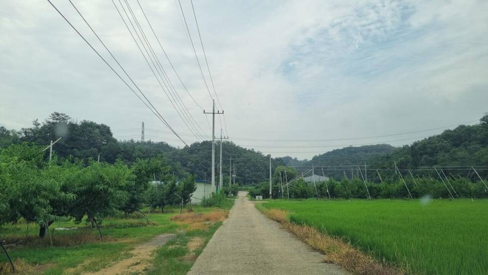 여기는 처음이지 (조황조행기 - 화보조행기)