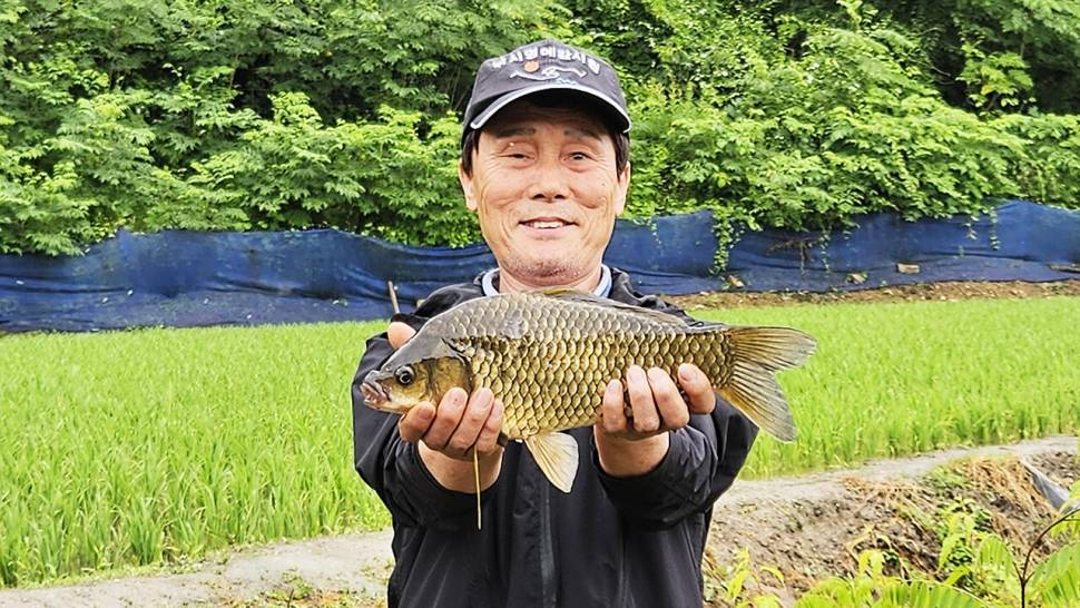 홍천강 오름수위 붕어낚시 (조황조행기 - 화보조행기)