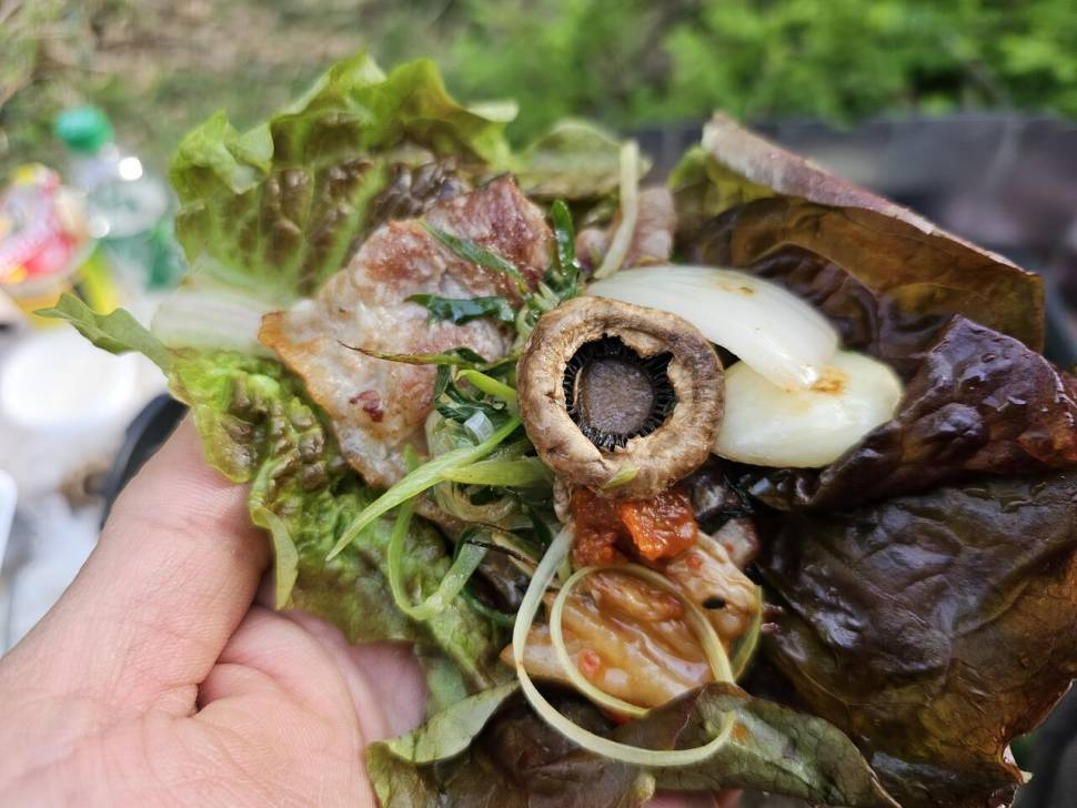9마리의 빛나는 월척들 (조황조행기 - 화보조행기)