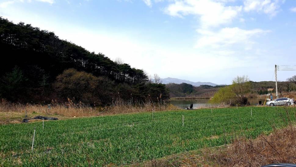 6년만의재회 (조황조행기 - 화보조행기)
