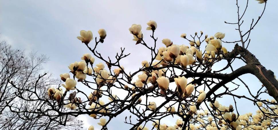 찔레꽃 블루베리의 무한 낚시사랑 (조황조행기 - 화보조행기)