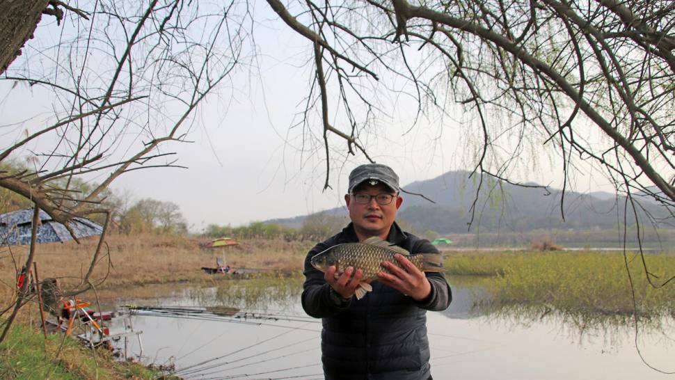 금강 산란중에 낚인 대어들 (조황조행기 - 화보조행기)
