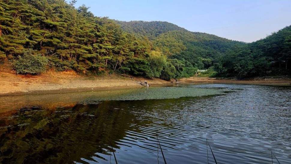 2024년 어신魚神 조우회의 08월 정출 더위사냥 (조황조행기 - 화보조행기)