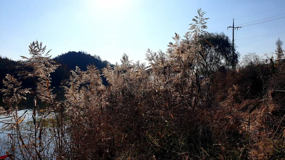 작지만즐거운 낚시 (조황조행기 - 화보조행기)