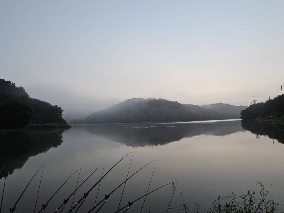 여명과 함께 찾아 온 월척붕어 (조황조행기 - 화보조행기)