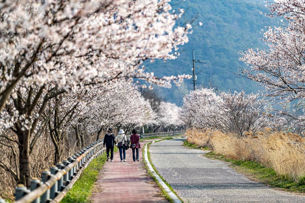 C씨의 낚시 여행 혼자만의 시간을 가져 봄 (조황조행기 - 화보조행기)