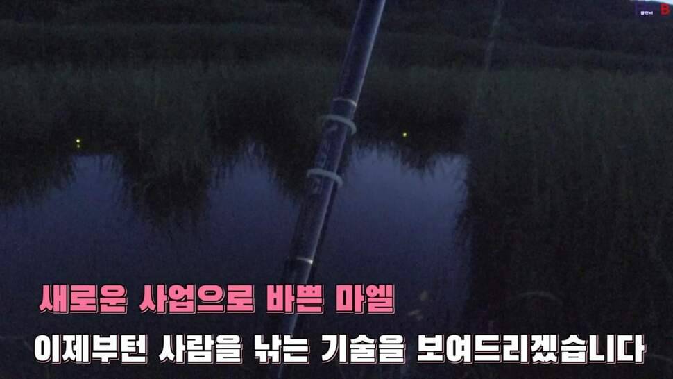 부들밭 닭발 포인트의 위력 투척 일분만에 월척 자동빵 (조황조행기 - 화보조행기)