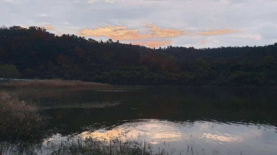 작지만즐거운 낚시 (조황조행기 - 화보조행기)