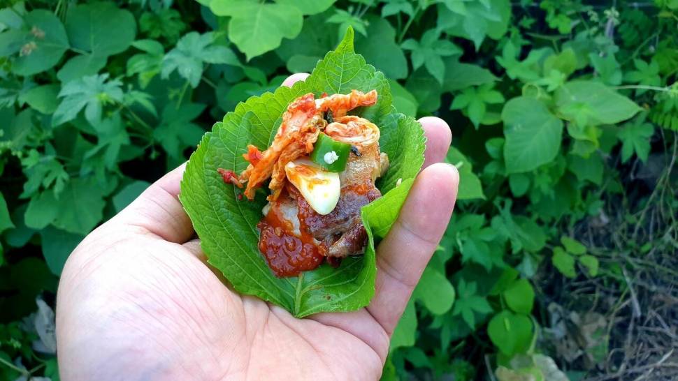 한번에찌오름 (조황조행기 - 화보조행기)