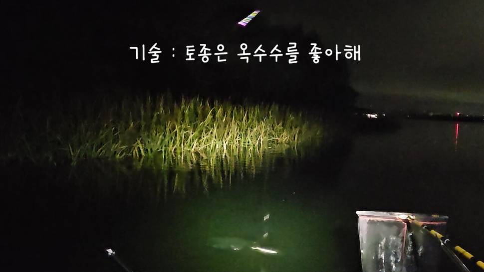 초고속 사냥술 댐낚시 붕어사냥 (조황조행기 - 화보조행기)