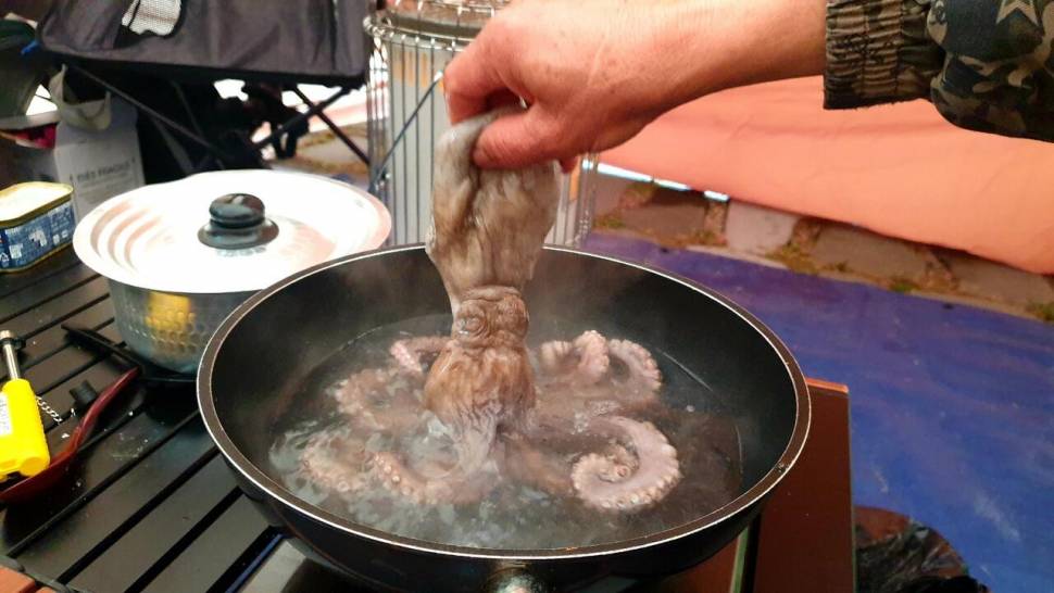 주말힐링 (조황조행기 - 화보조행기)