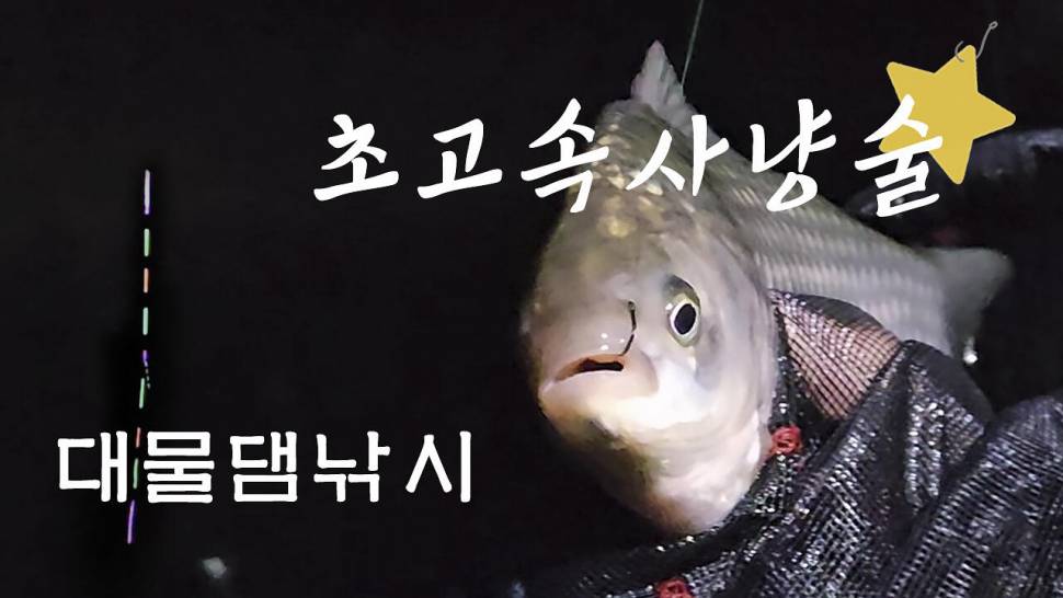 초고속 사냥술 댐낚시 붕어사냥 (조황조행기 - 화보조행기)