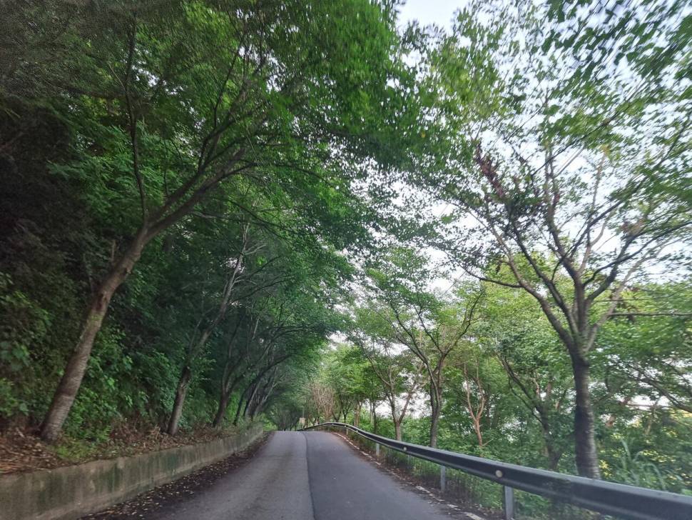 어려운시기 지나면 (조황조행기 - 화보조행기)