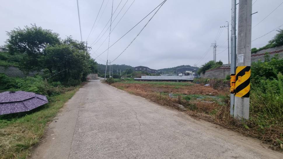 출조 하는날 (조황조행기 - 화보조행기)