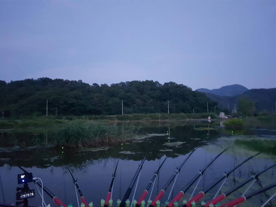 의성 가음지 살치와의전쟁 (조황조행기 - 화보조행기)