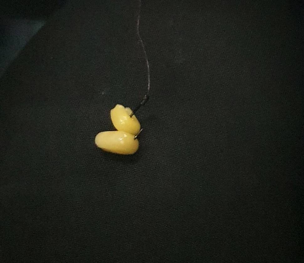 달빛아래 꾼 조행기 (조황조행기 - 화보조행기)