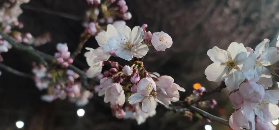 찔레꽃 블루베리의 무한 낚시사랑 (조황조행기 - 화보조행기)