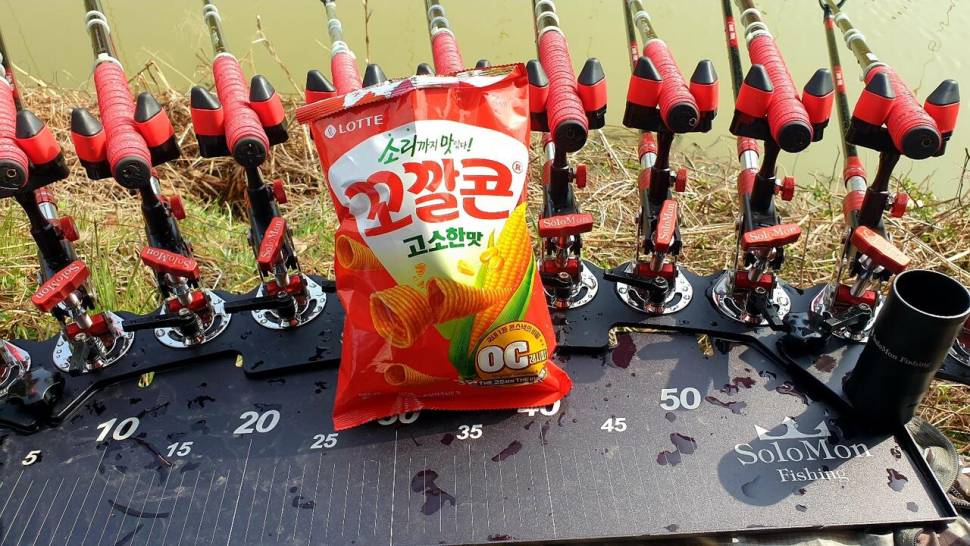 6년만의재회 (조황조행기 - 화보조행기)