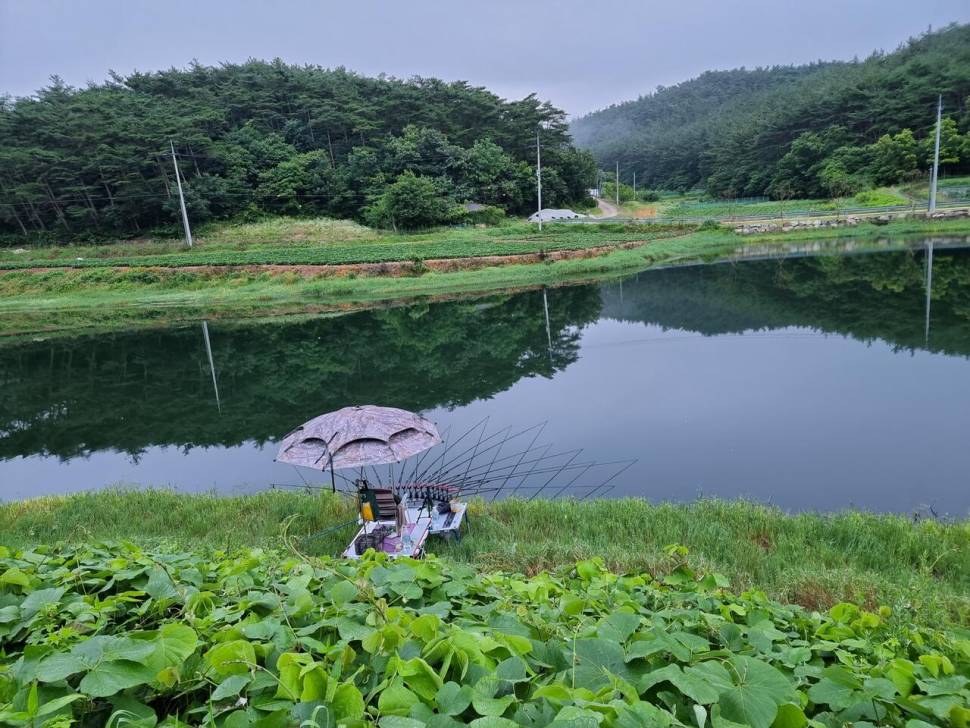 어려운시기 지나면 (조황조행기 - 화보조행기)
