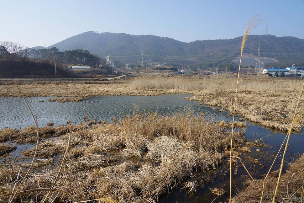 워밍업 (조황조행기 - 화보조행기)