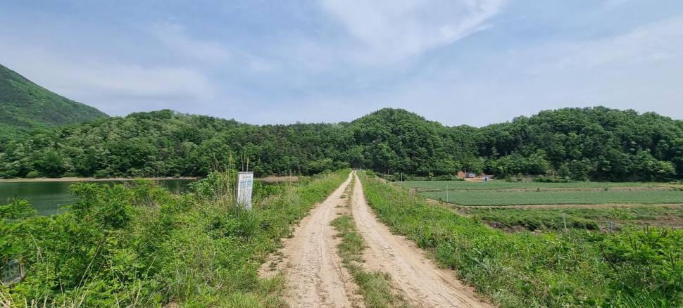 말없이 (조황조행기 - 화보조행기)