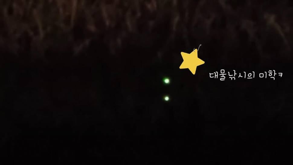 낚시대를 드리겠습니다 실화ㅋㅋㅋ (조황조행기 - 화보조행기)