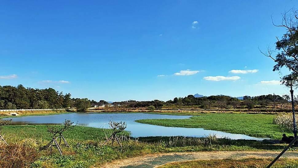 전남 영암 (조황조행기 - 화보조행기)