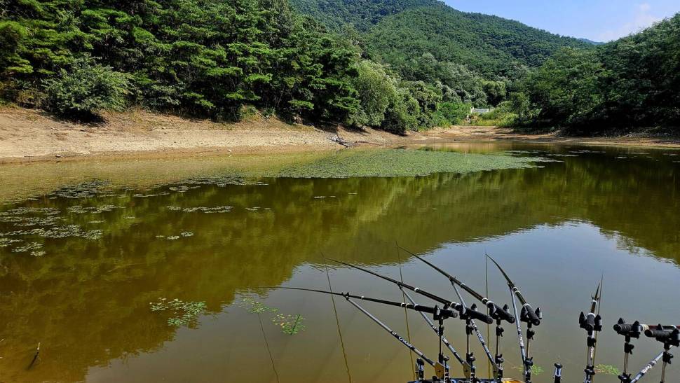 2024년 어신魚神 조우회의 08월 정출 더위사냥 (조황조행기 - 화보조행기)