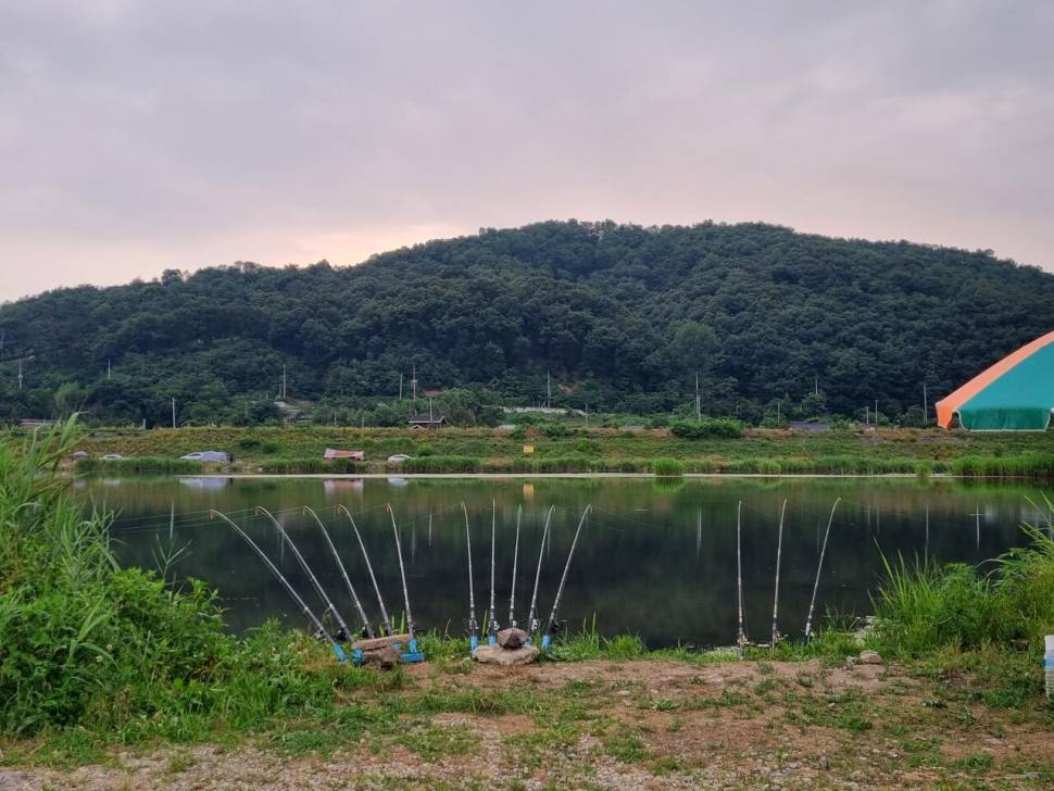 정출의 기다림은 행복이다 (조황조행기 - 화보조행기)
