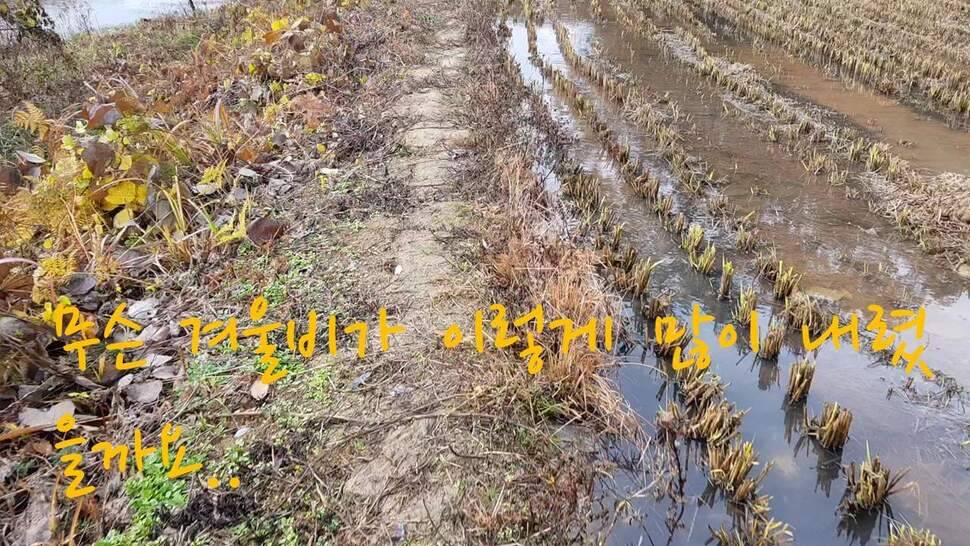 아부지와 진검승부 (조황조행기 - 화보조행기)