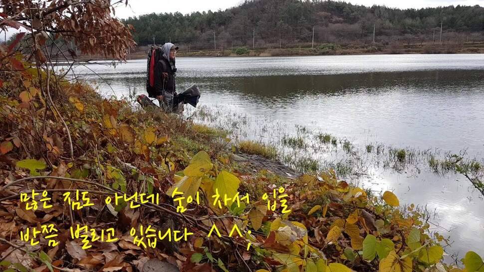 아부지와 진검승부 (조황조행기 - 화보조행기)