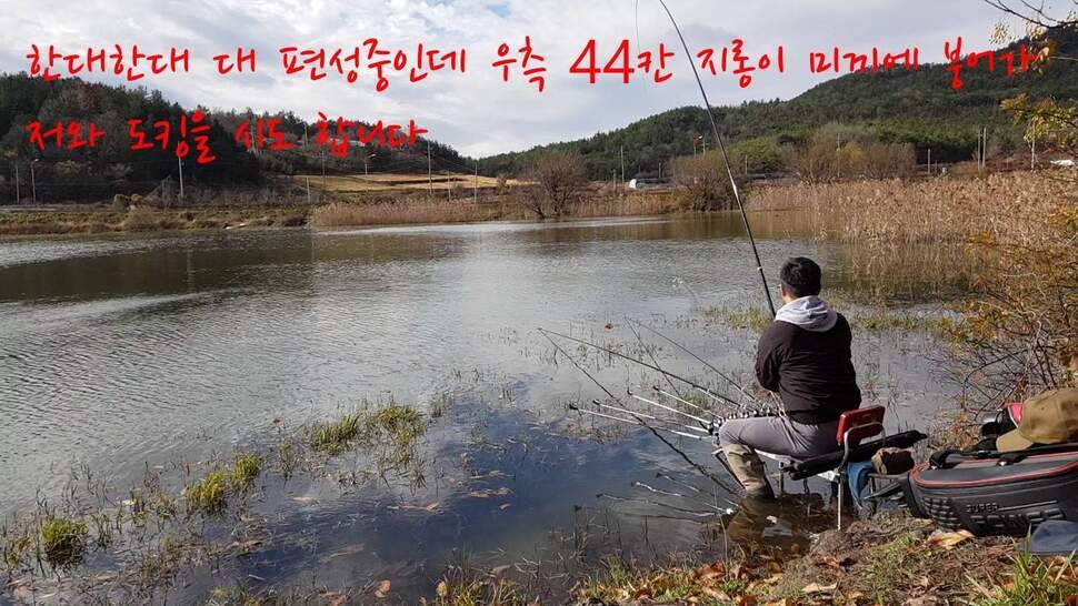아부지와 진검승부 (조황조행기 - 화보조행기)