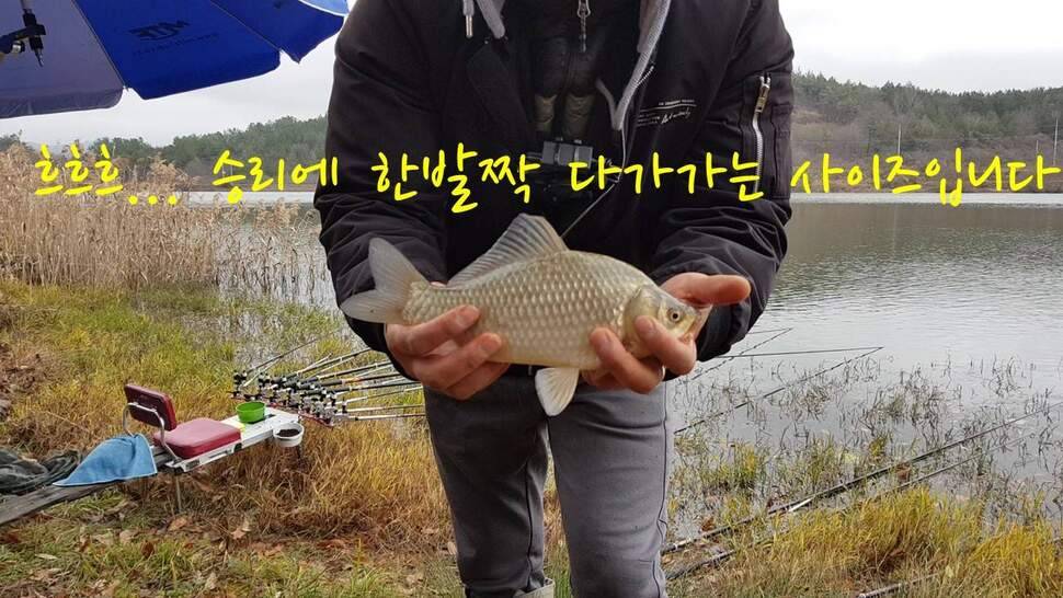 아부지와 진검승부 (조황조행기 - 화보조행기)