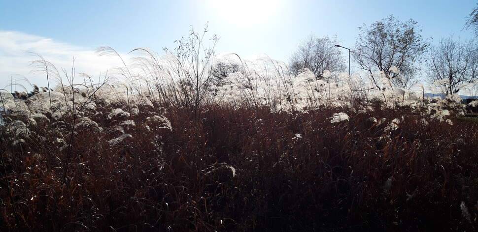 용팔아 낚시가자 2편 겨울속 봄 날씨 (조황조행기 - 화보조행기)