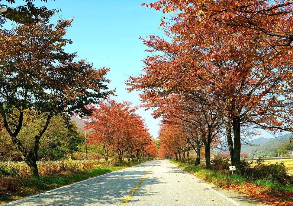 먹개비의 낚시 투어 21탄힘든 시기 함께 해준 지인과 친구 (조황조행기 - 화보조행기)