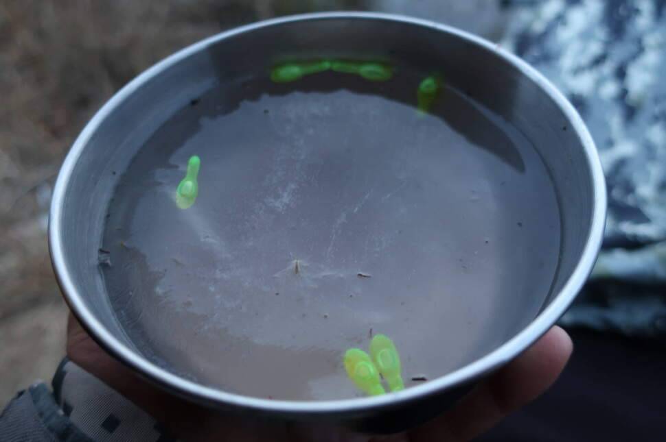 확실한 겨울날씨 (조황조행기 - 화보조행기)