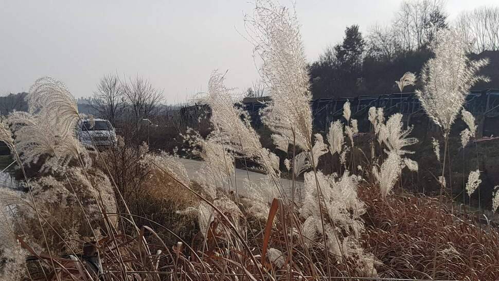 세발이의 힐링다이어리 (조황조행기 - 화보조행기)