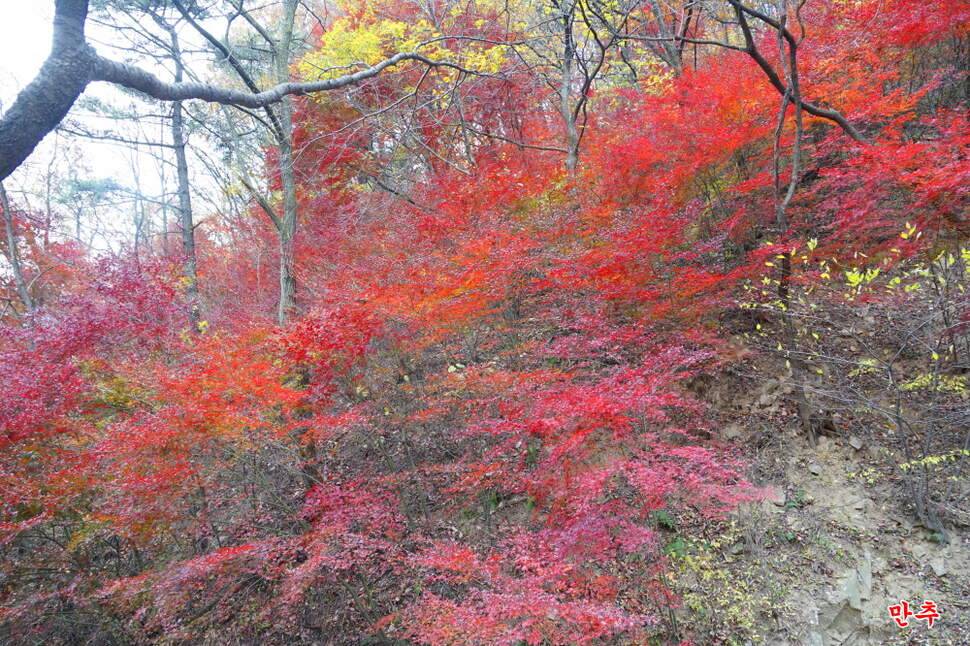 만추 14박 (조황조행기 - 화보조행기)