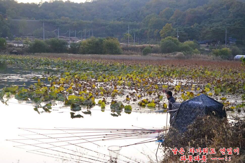 만추 14박 (조황조행기 - 화보조행기)